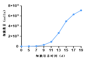 细胞培养时间.png 细胞培养时间.png